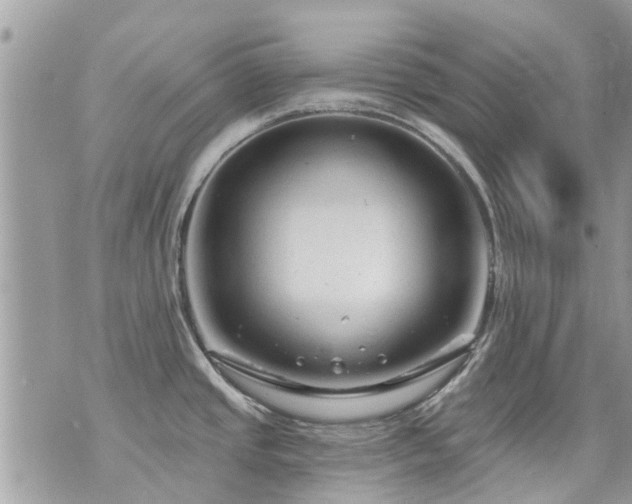 X0000073731437200608101918