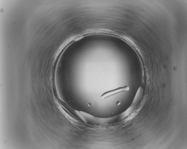 X0000073731438200608101918