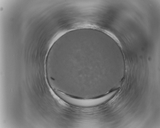 X0000073731439200608101918