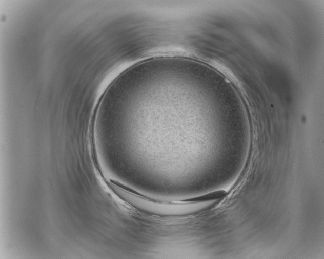 X0000073731440200608101918