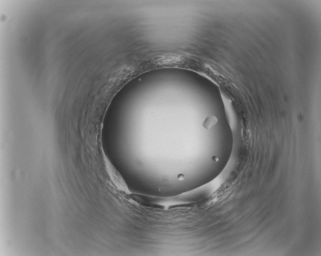 X0000073731441200608101918