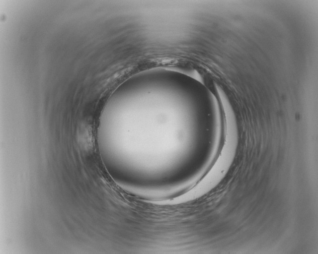 X0000073731442200608101918