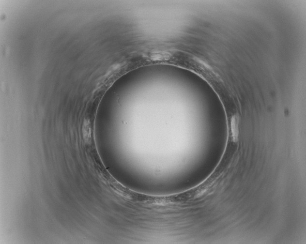 X0000073731443200608101918