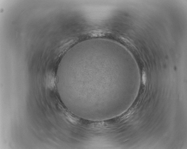 X0000073731444200608101918