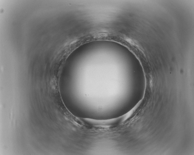 X0000073731445200608101918