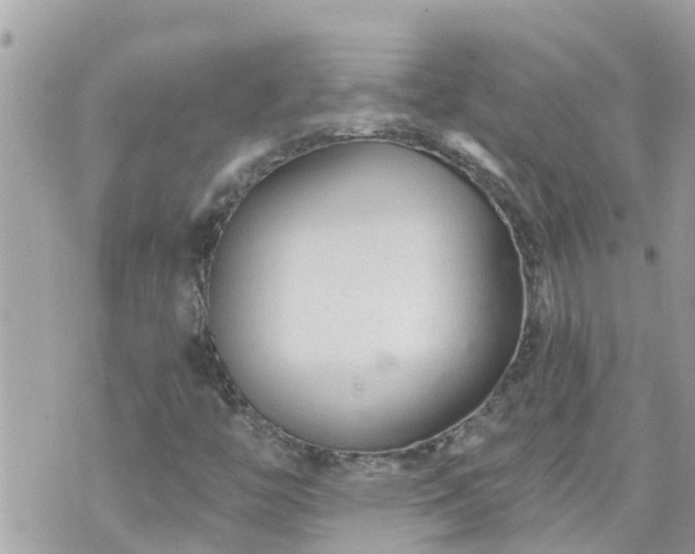 X0000073731446200608101918