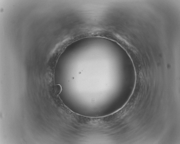 X0000073731447200608101918