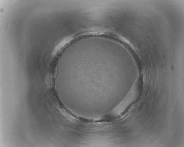 X0000073731448200608101918