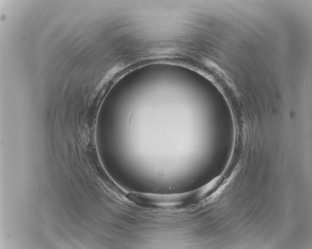 X0000073731449200608101918