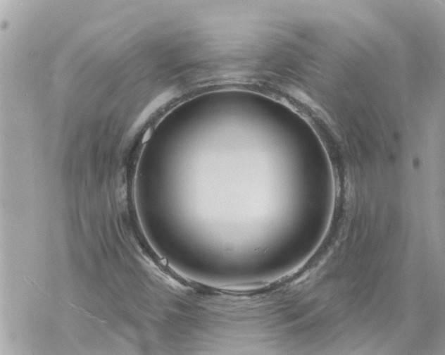 X0000073731450200608101918