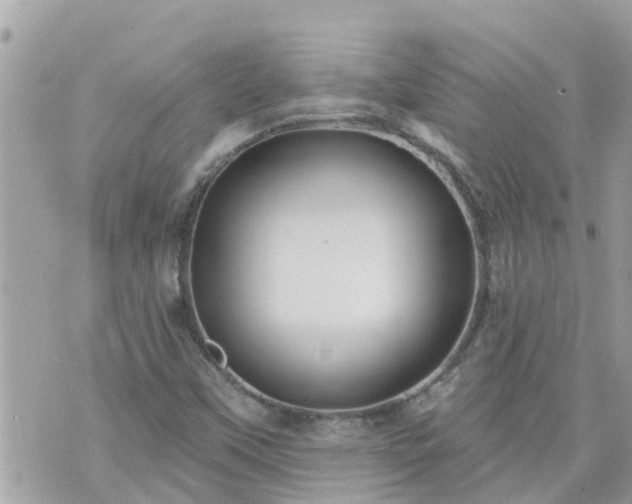 X0000073731451200608101918