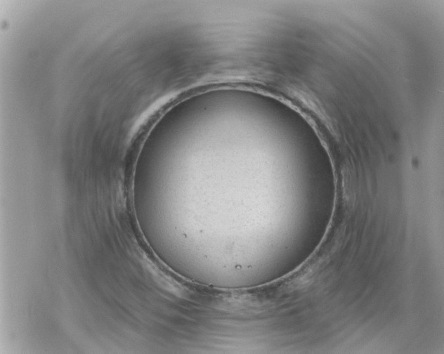 X0000073731452200608101918