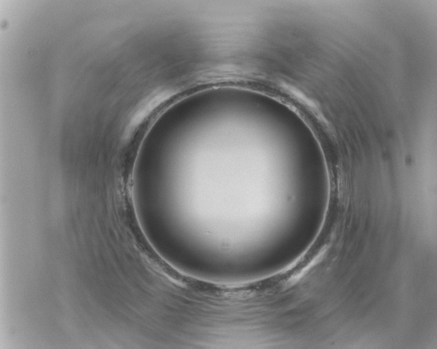 X0000073731453200608101917