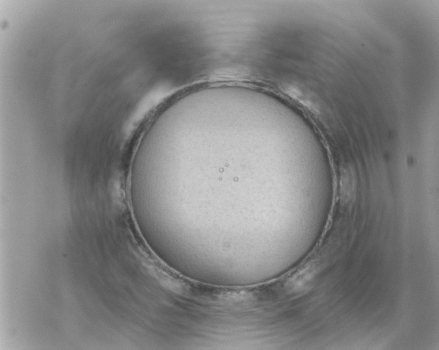 X0000073731454200608101917