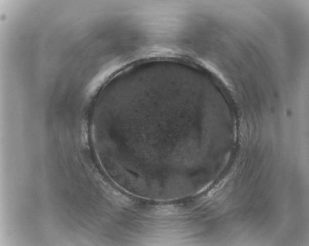 X0000073731455200608101917