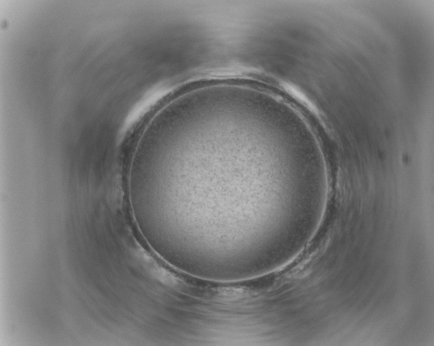 X0000073731456200608101917