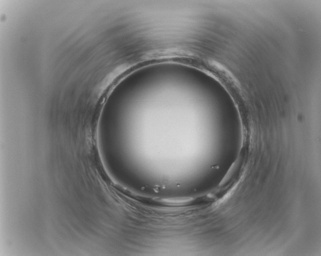 X0000073731457200608101917