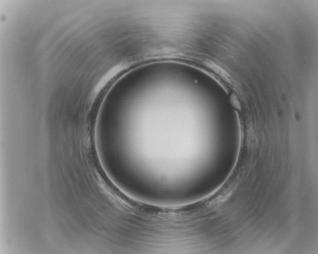 X0000073731458200608101917