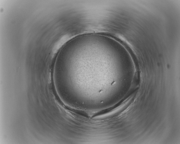 X0000073731459200608101917