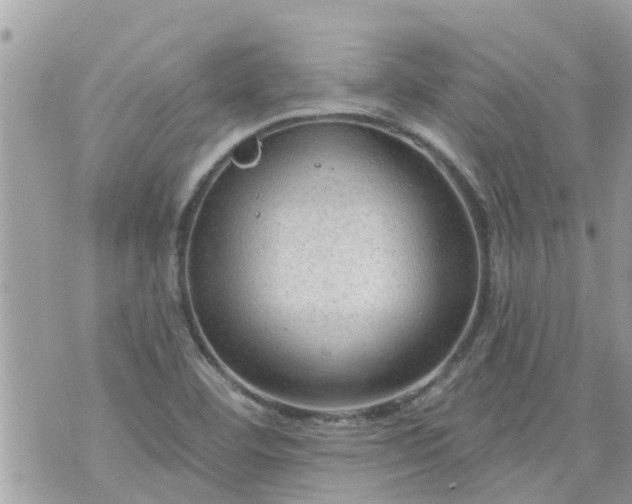 X0000073731460200608101917