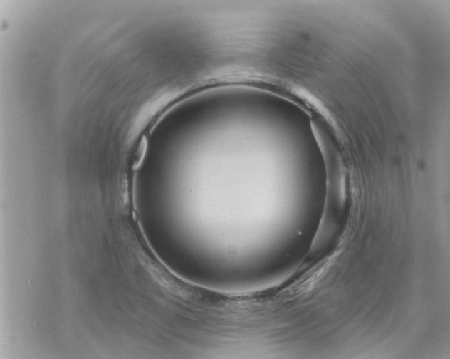 X0000073731461200608101917