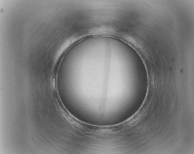 X0000073731462200608101917