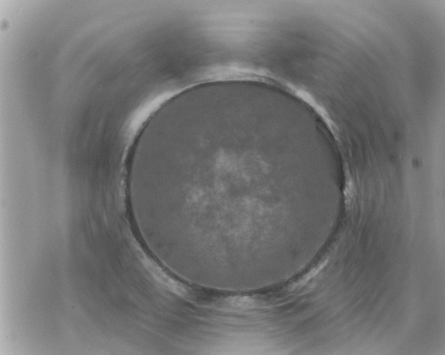 X0000073731463200608101917