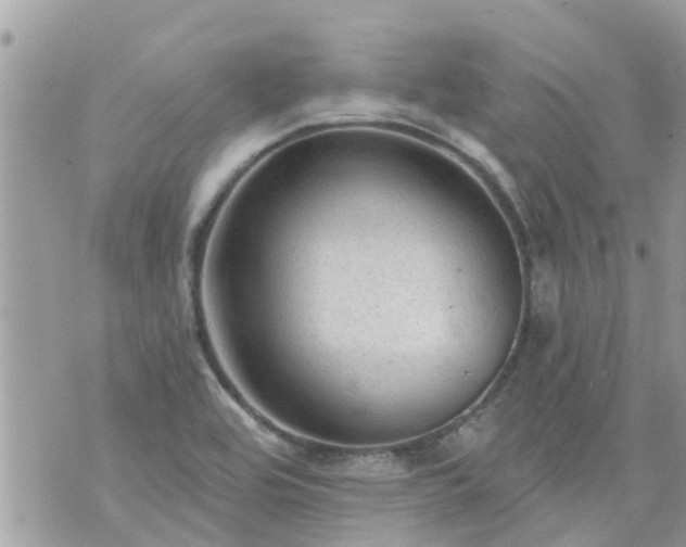 X0000073731464200608101917