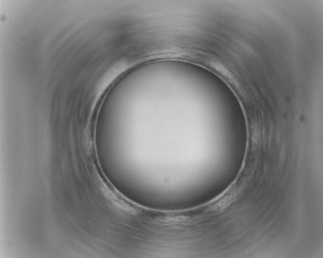 X0000073731466200608101917