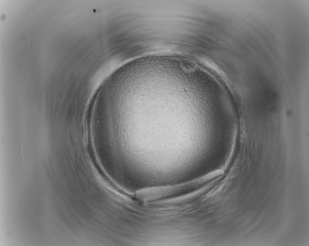 X0000073731467200608101917