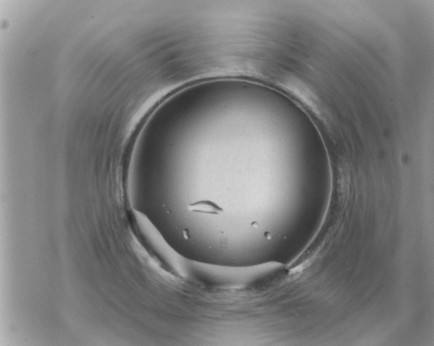 X0000073731468200608101917