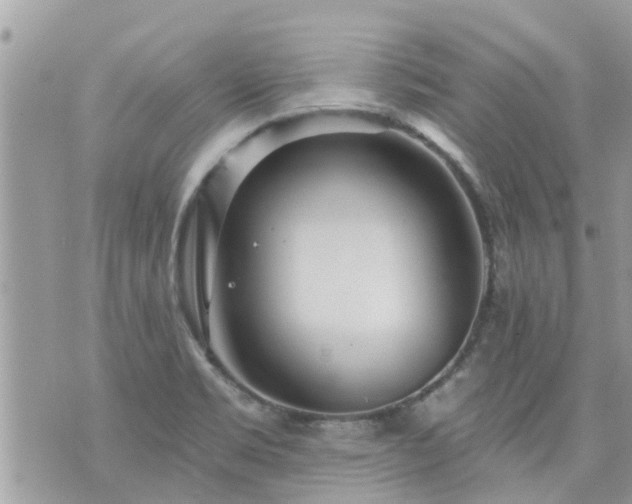 X0000073731469200608101917