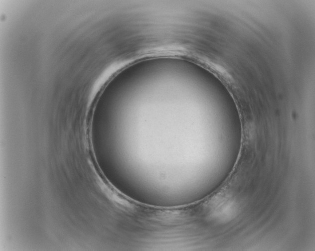 X0000073731470200608101917