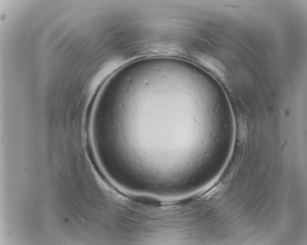 X0000073731471200608101917