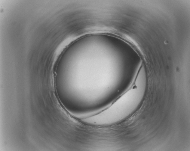 X0000073731472200608101917