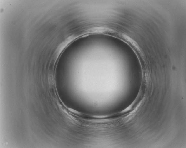 X0000073731473200608101917