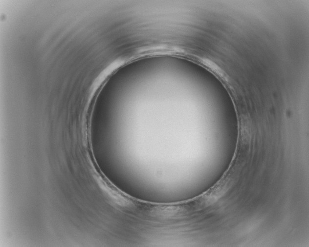 X0000073731474200608101917