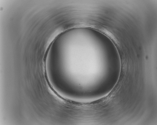 X0000073731476200608101917