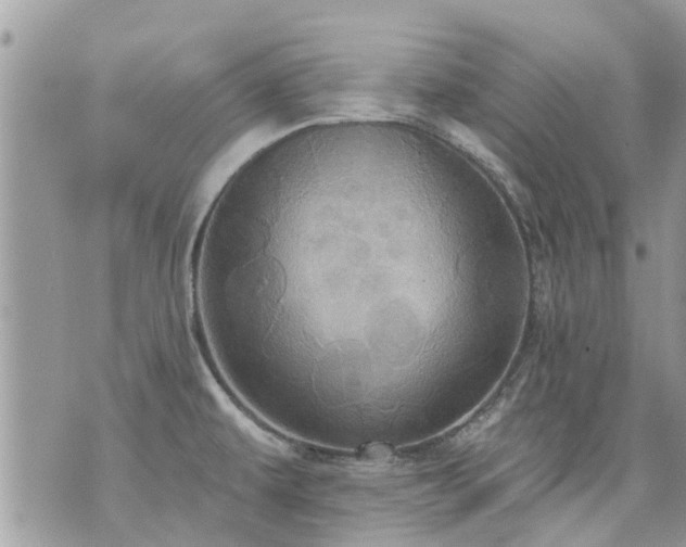 X0000073731479200608101917