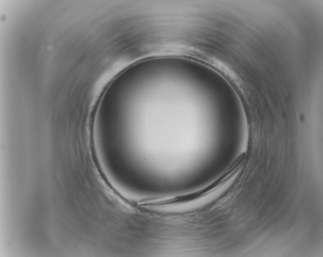 X0000073731480200608101917