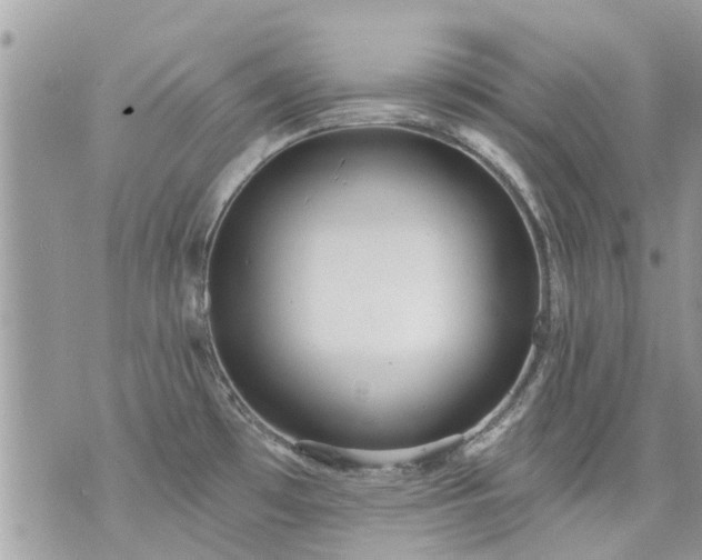 X0000073731481200608101917