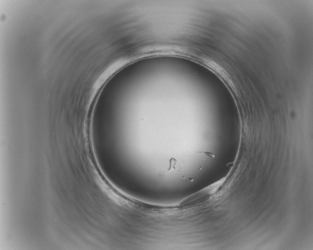 X0000073731482200608101917