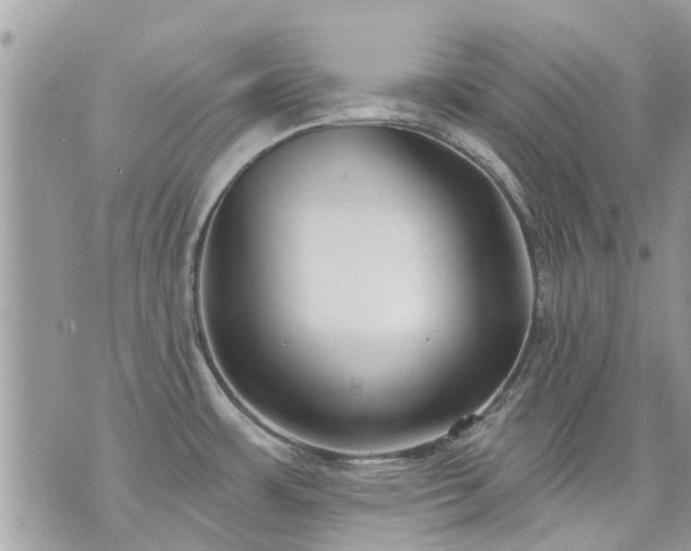 X0000073731483200608101917