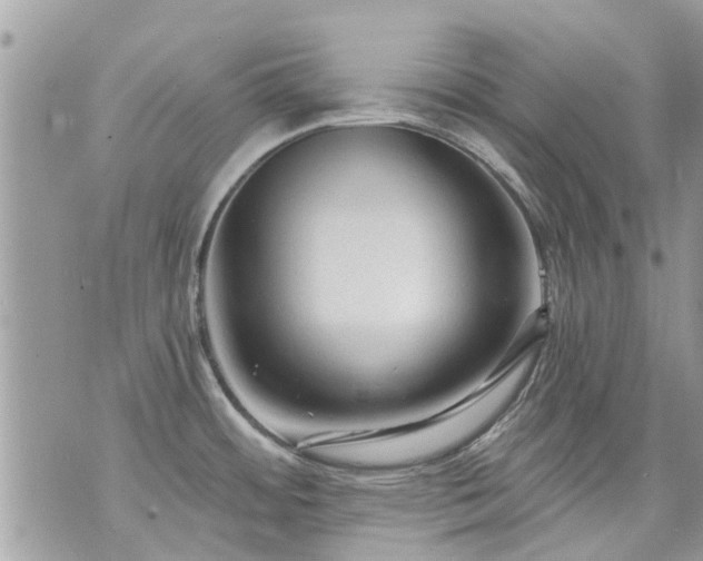 X0000073731484200608101917