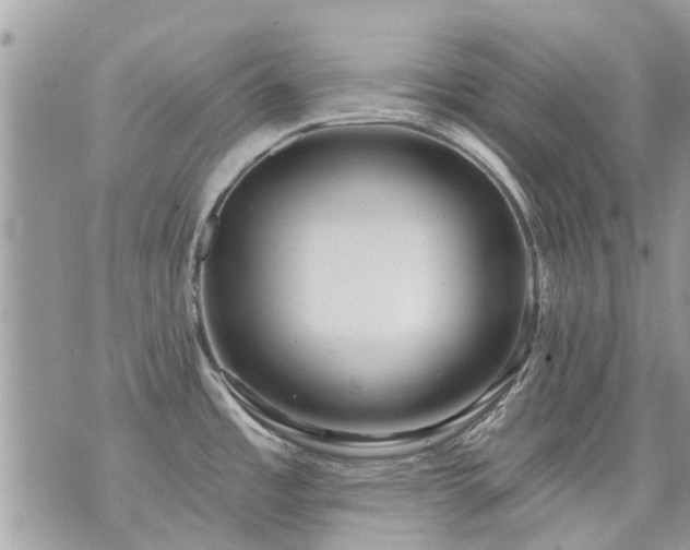 X0000073731485200608101917