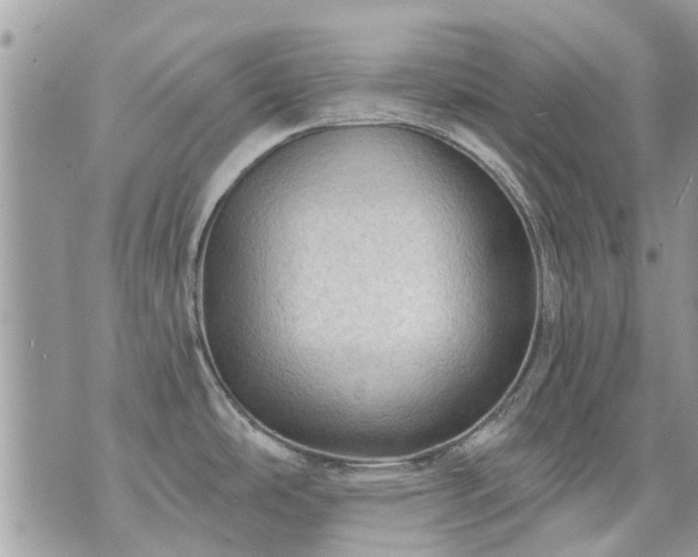 X0000073731486200608101917