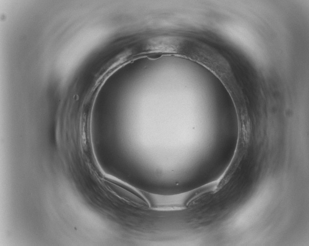 X0000073731487200608101917