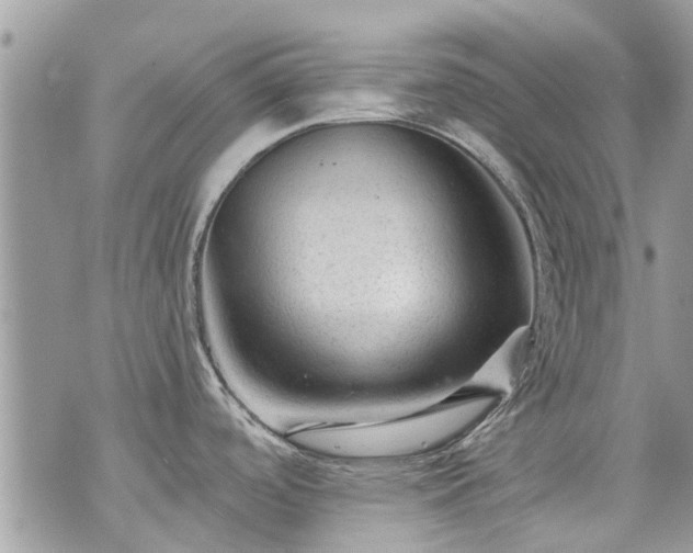 X0000073731488200608101917