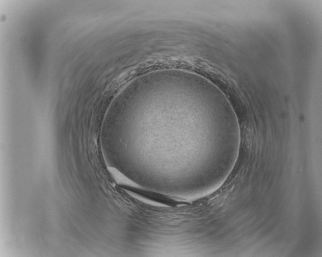 X0000073731489200608101916