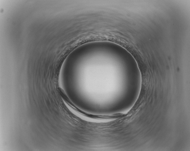 X0000073731490200608101916